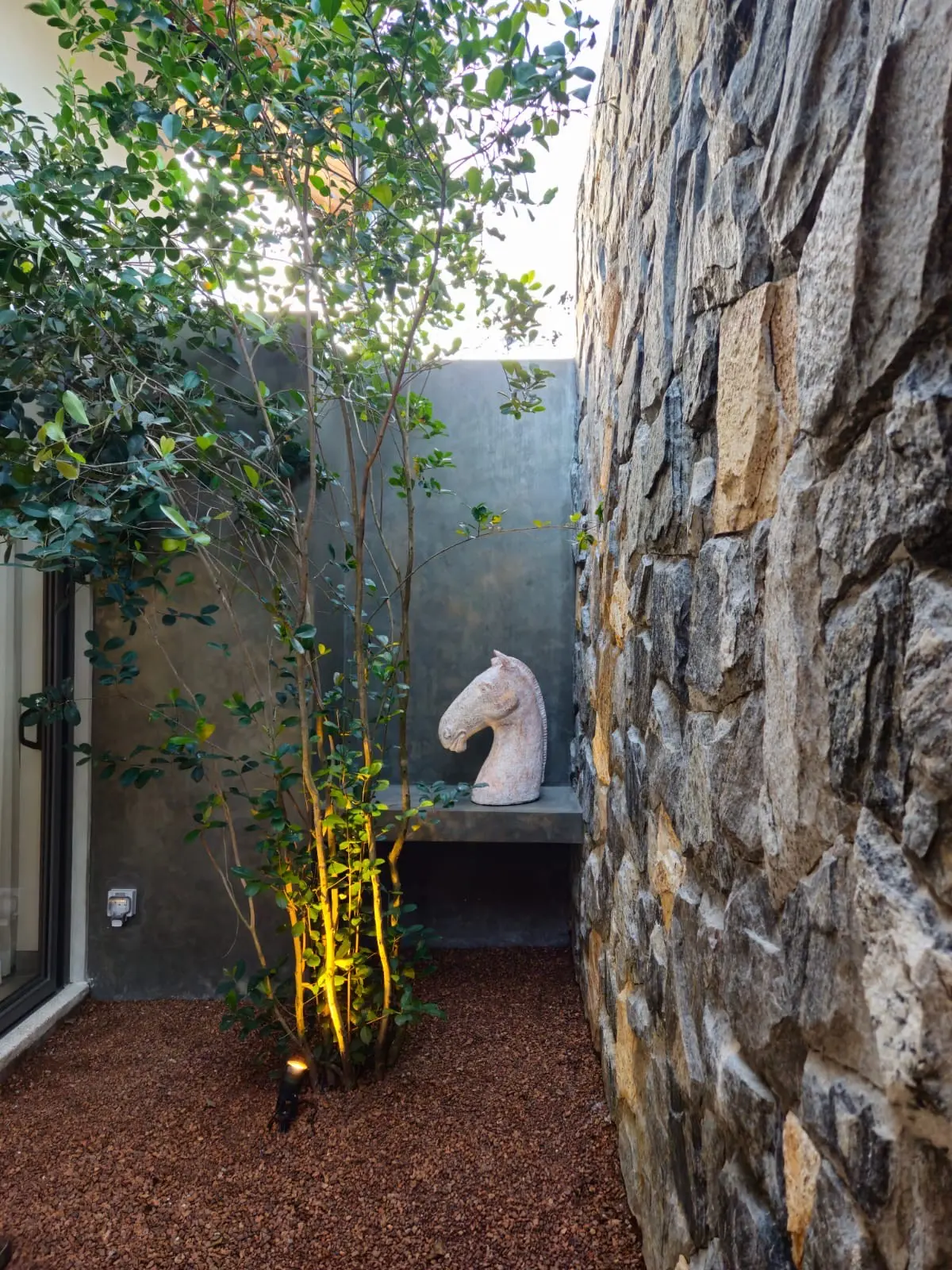 Courtyard sculpture garden