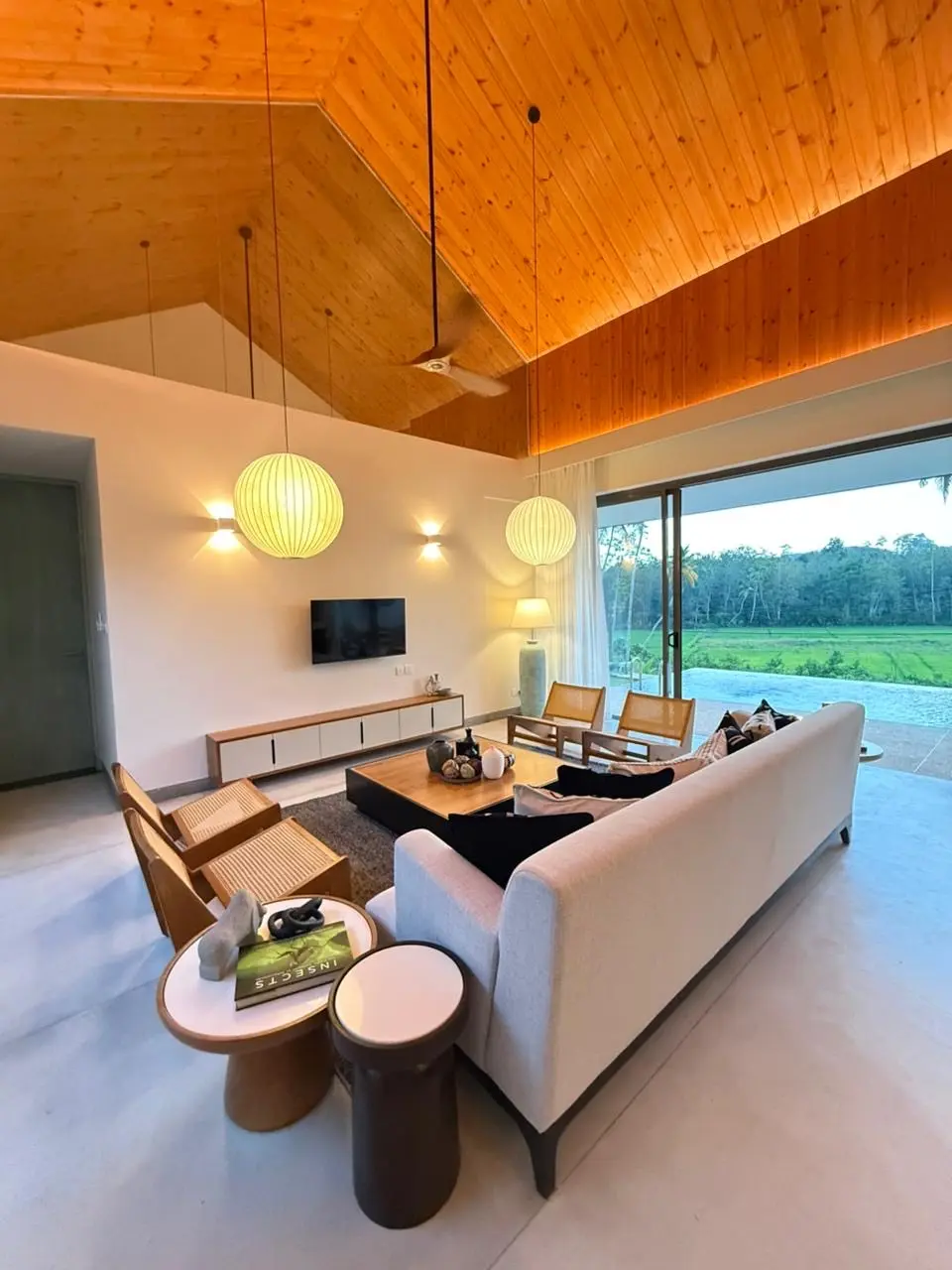 Living room paddy views